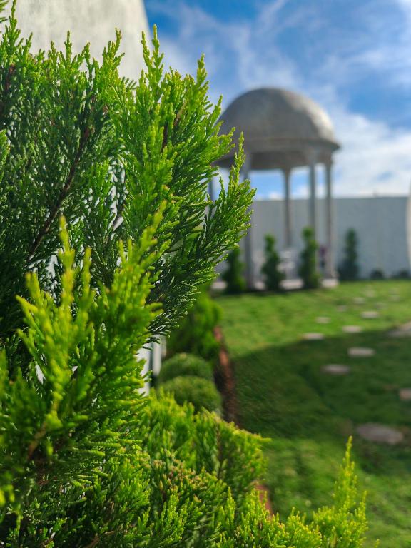 Zahrada ubytování Hotel Wanderlive