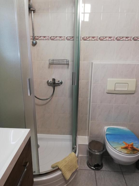 a bathroom with a shower and a toilet at Ubytování Maxa in Špičák