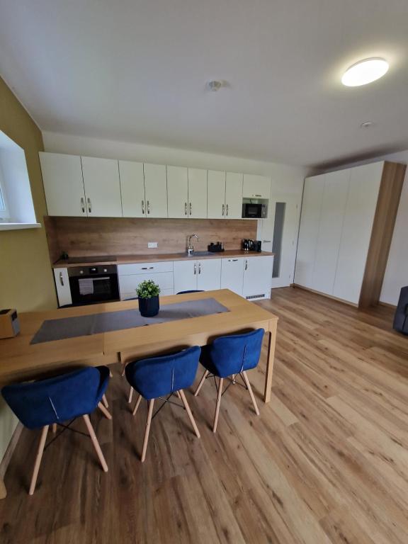 Kuchyň nebo kuchyňský kout v ubytování Apartmán Eliška Filipovice