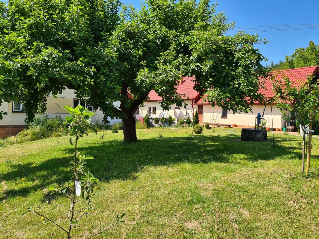 Zahrada ubytování Apartments Beskydy