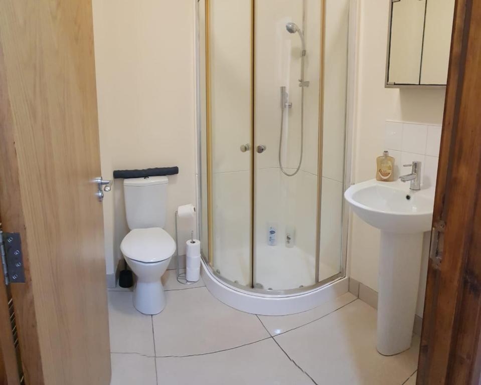 uma casa de banho com um chuveiro, um WC e um lavatório. em Beautiful Apartment in the city center em Belfast