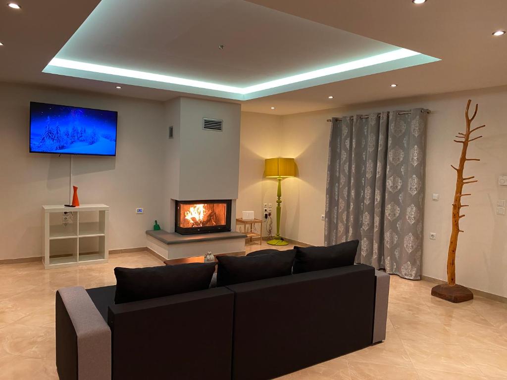 a living room with a couch and a fireplace at Αρτέμιδα plus Karpenisi Apartment in Karpenisi