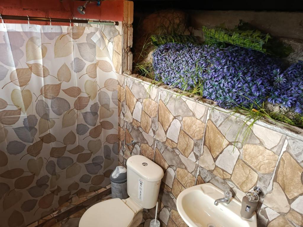 Koupelna v ubytování Glamping con jacuzzi en Latacunga