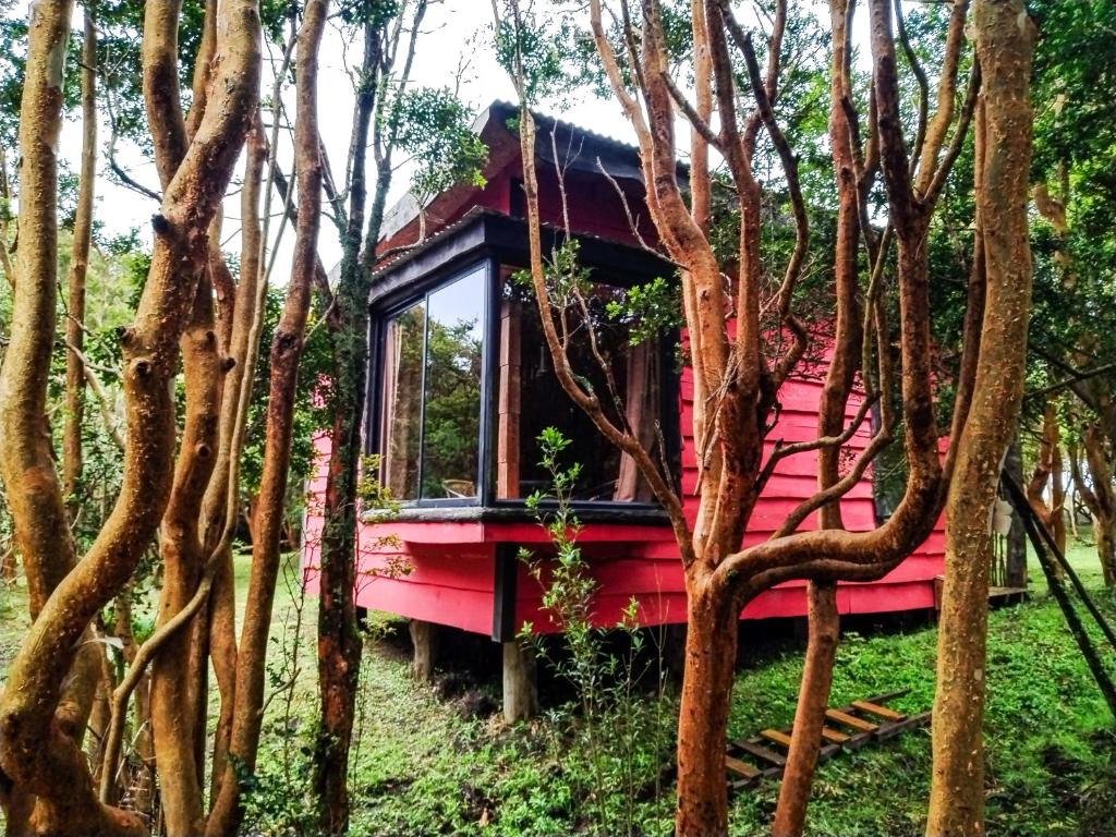 Cabañas Luna del Sur Cucao