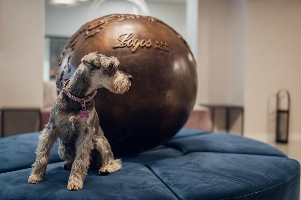 Hotel Logos Kraków - Resim 43