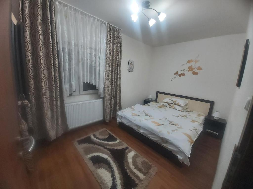 a bedroom with a bed and a window and a rug at Apartament Sarah in Oţelu Roşu