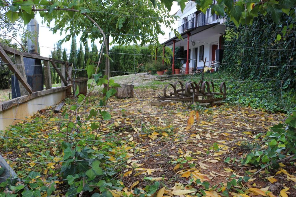ein Hof mit Blättern auf dem Boden neben einem Zaun in der Unterkunft LOS NOGALES in Cazalla de la Sierra