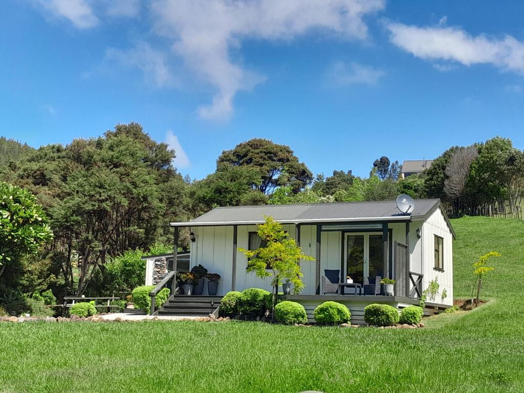 a small white house in a grassy field at Kuaotunu's Peebles Cottage in Kuaotunu