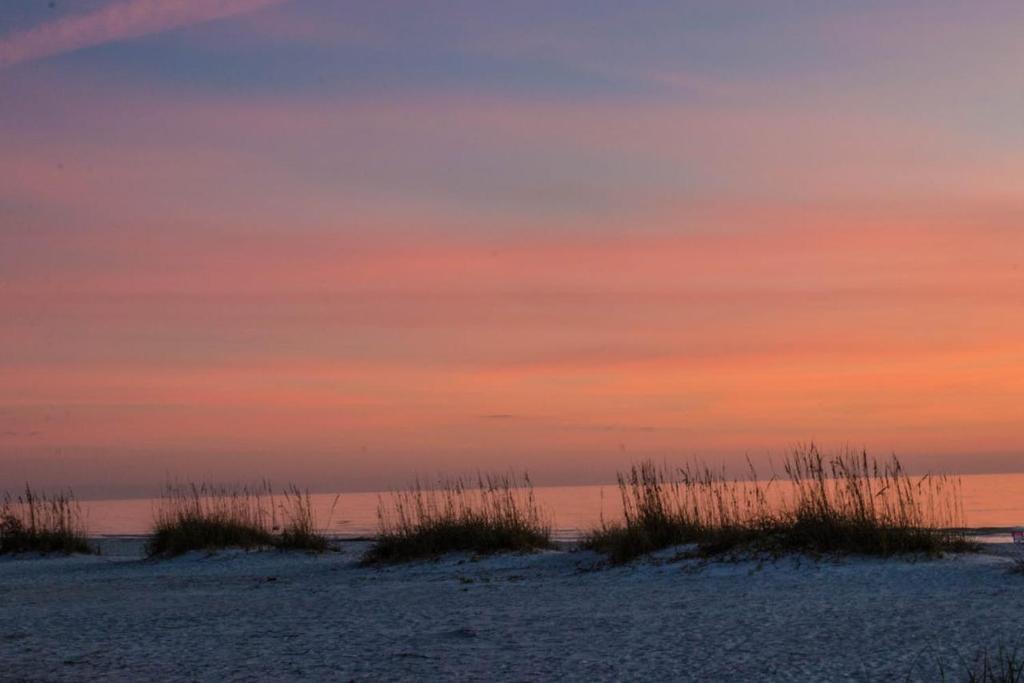 Coconut Tree Anna Maria, Anna Maria (aktualisierte Preise für 2024)