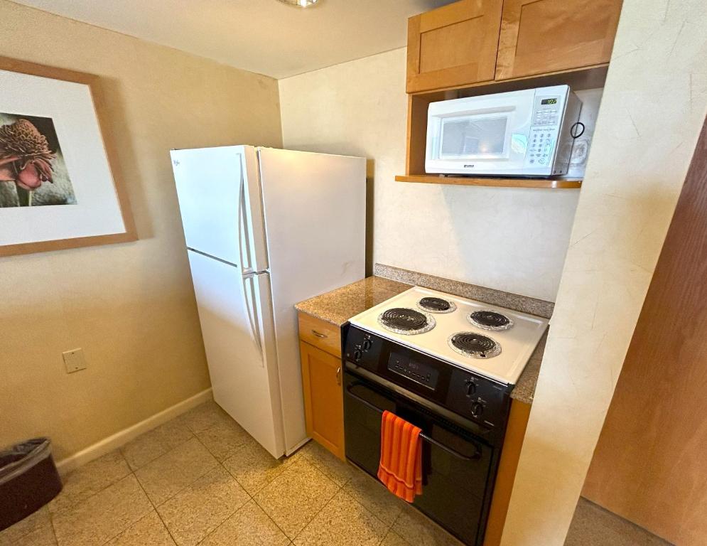 Kuchyň nebo kuchyňský kout v ubytování Ilikai Apt 302 - Spacious Studio with Stunning Ocean & Harbor Views