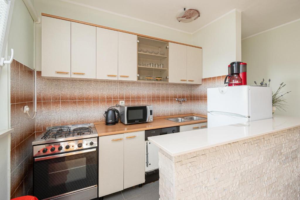 Kuchyň nebo kuchyňský kout v ubytování Apartments with parking spaces Novalja, Pag - 4128