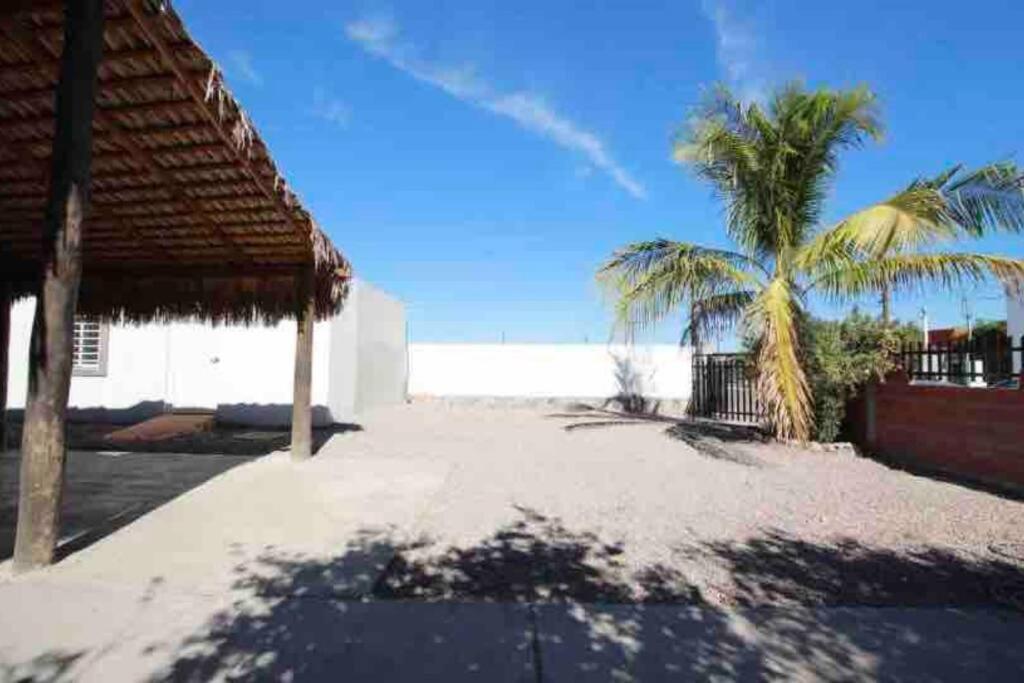 a house with two palm trees next to a beach at Departamento ‘El Bello’ en Palapa Ochoa in Loreto