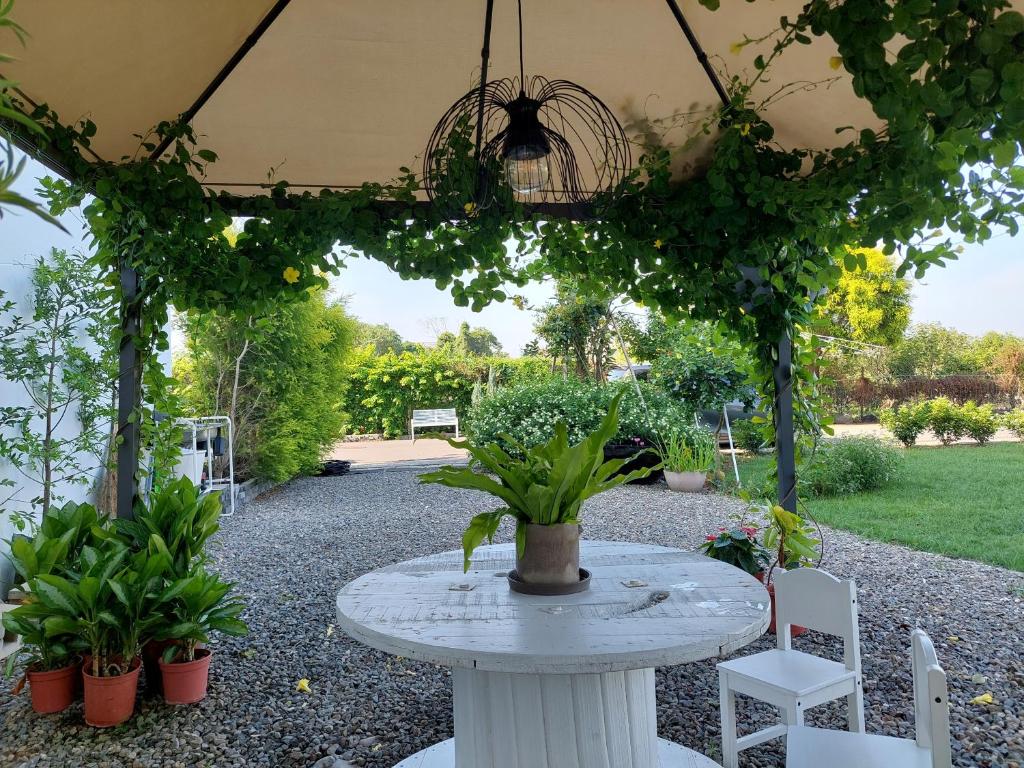 Κήπος έξω από το Xinhouse Homestay