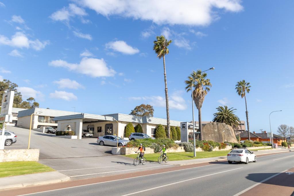 Dos personas en bicicleta por una calle con palmeras en Dog Rock Motel, en Albany