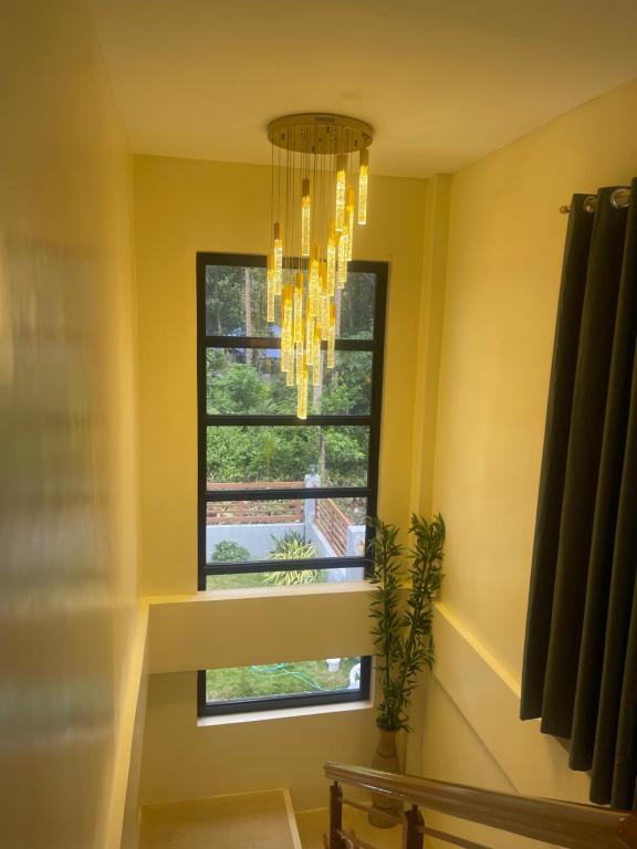 Fotografie z fotogalerie ubytování blue starfish villa v destinaci Panglao