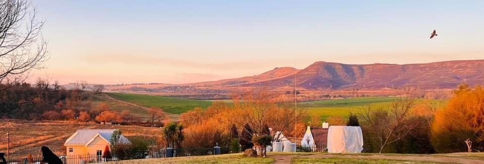 a group of houses in a field with mountains in the background at Haze Inn Cottage in Rosetta