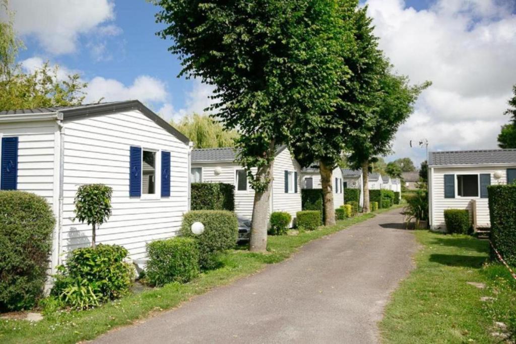 Zahrada ubytování Camping Haliotis