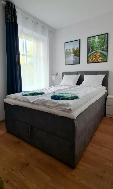 Apartamenty Dębowa 3 - 2