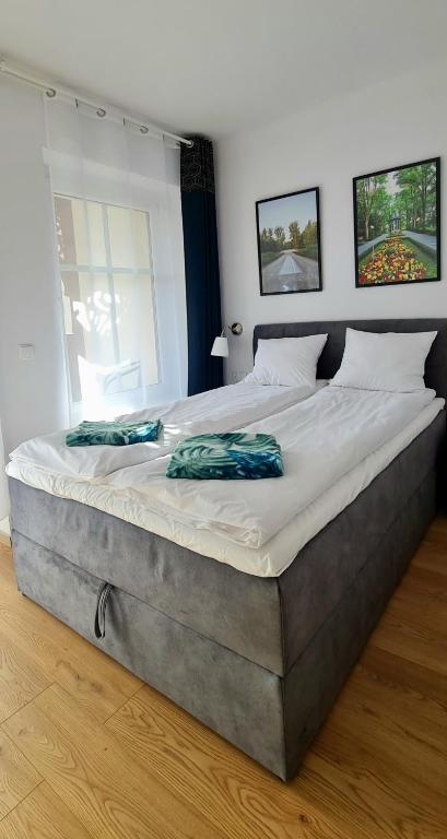 Apartamenty Dębowa 3 - 9