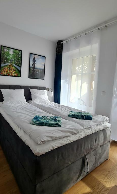 Apartamenty Dębowa 3 - 17