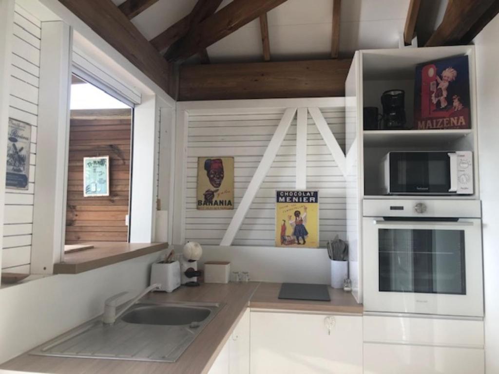 eine Küche mit einer Spüle und einer Mikrowelle in der Unterkunft Villa Tigo T2 mabouya in Sainte-Luce