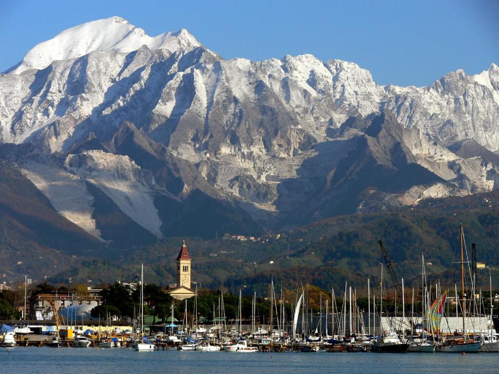 Un gruppo di barche in un porto con una montagna innevata di Between Pisa and 5 Terre a Marina di Carrara