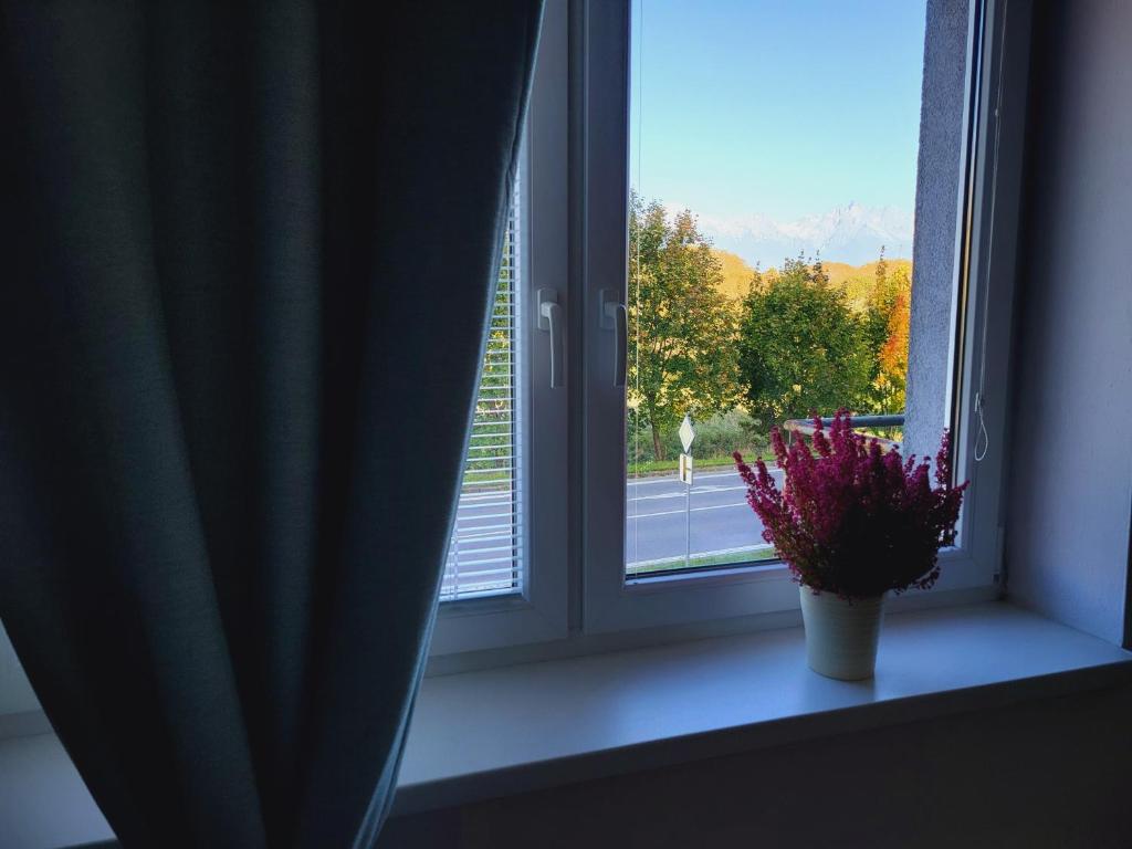 a window with a potted plant on a window sill at Tatry Mountain Paradise in Poprad
