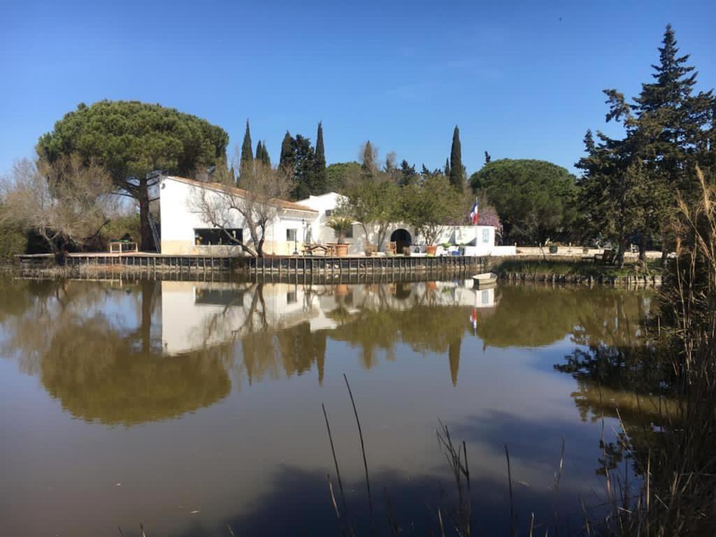 a reflection of a building in a lake at Mas de la pie in Saintes-Maries-de-la-Mer