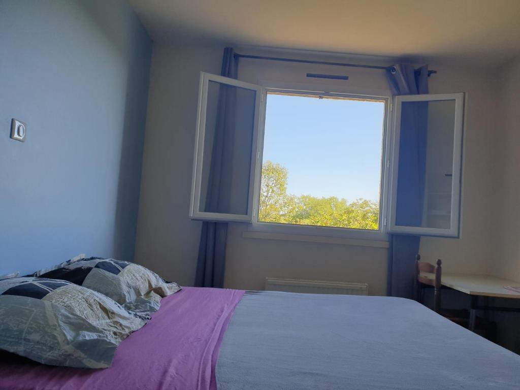 Schlafzimmer mit einem Bett und einem Fenster in der Unterkunft Chambre au calme avec cuisine équipée en supplément sur demande in Figeac