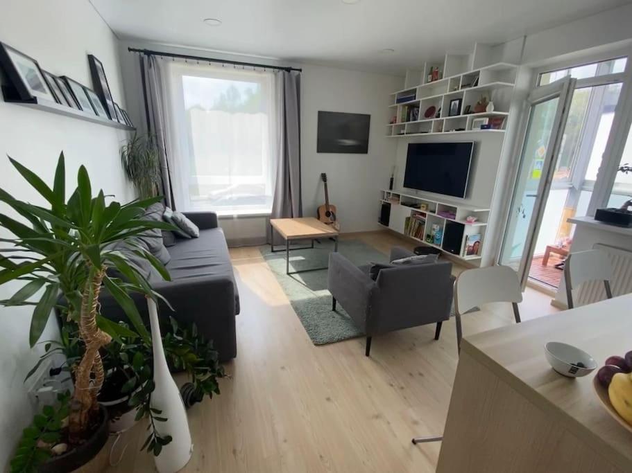 Gallery image of City Park Apartment in Vilnius