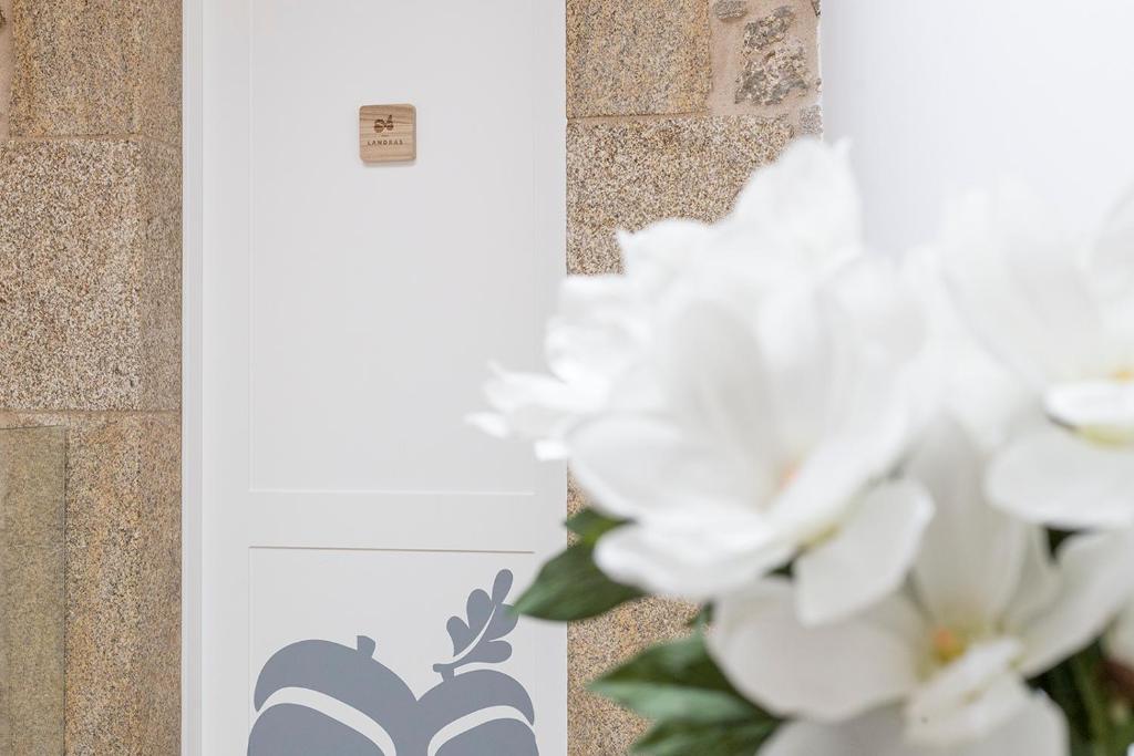 Landras de Compostela - 6