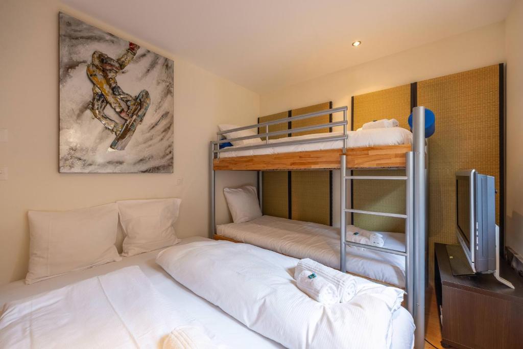 Montagnard 3 - Spa access - Resim 21