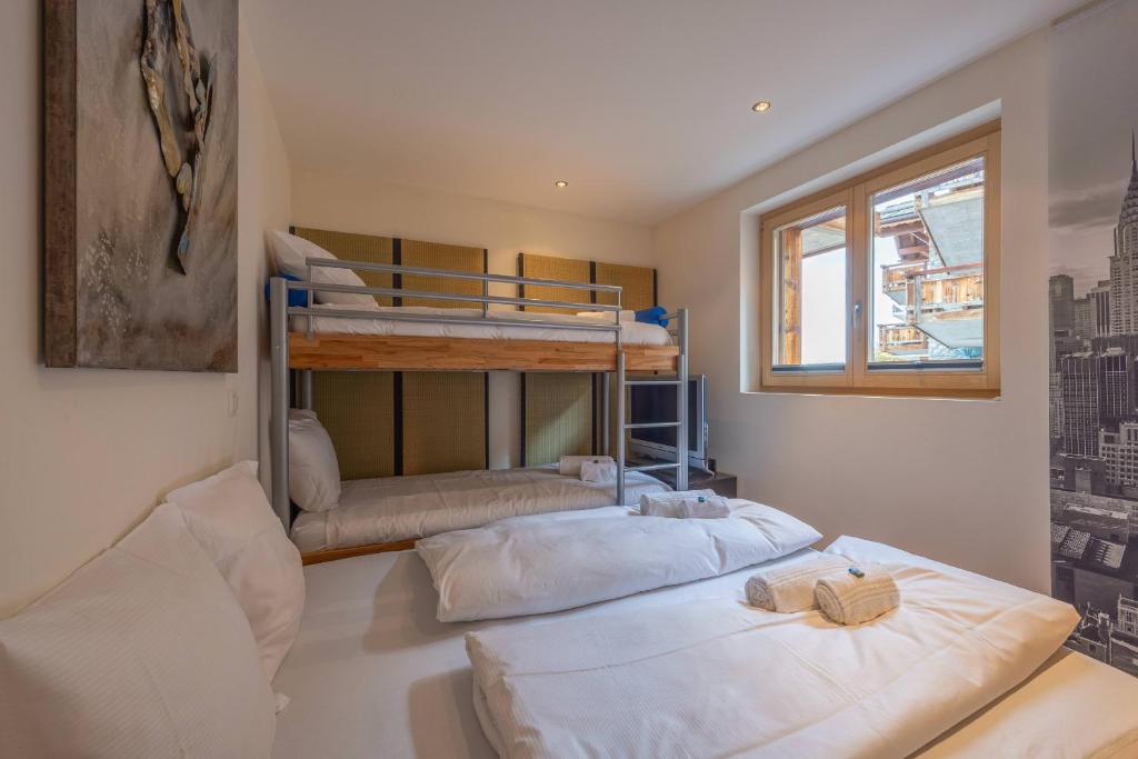 Montagnard 3 - Spa access - Resim 8