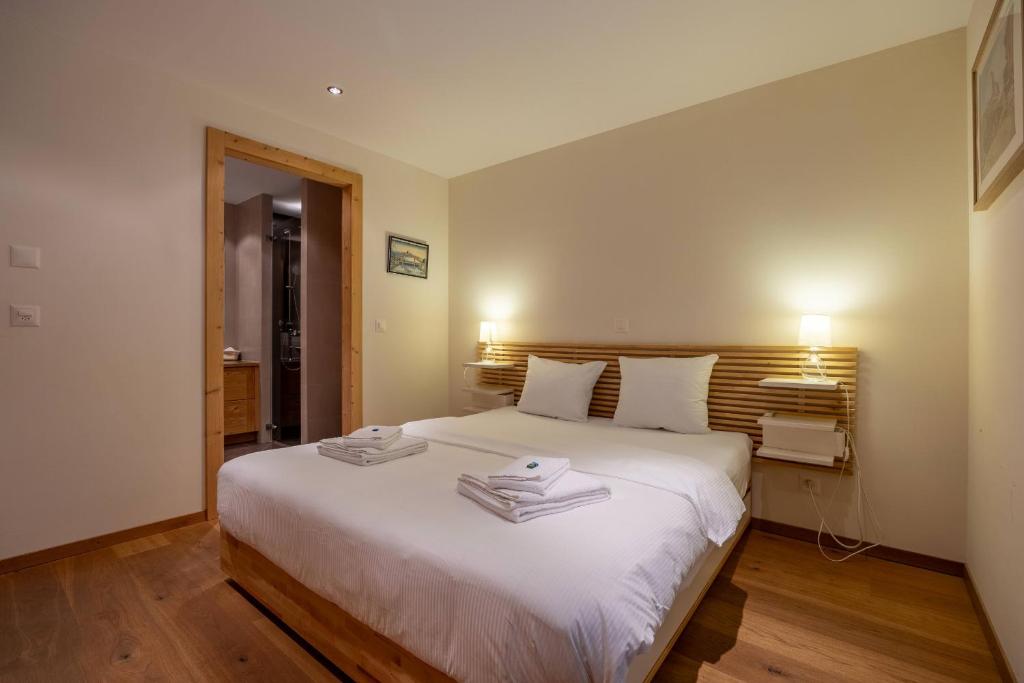 Montagnard 3 - Spa access - Resim 14