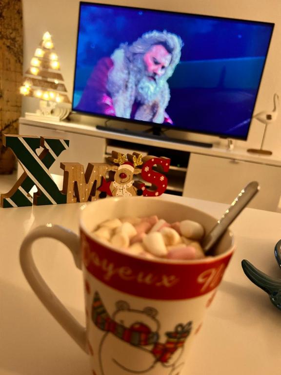 Televízia a/alebo spoločenská miestnosť v ubytovaní Duplex Normandie, tout confort Saint Valery en Caux