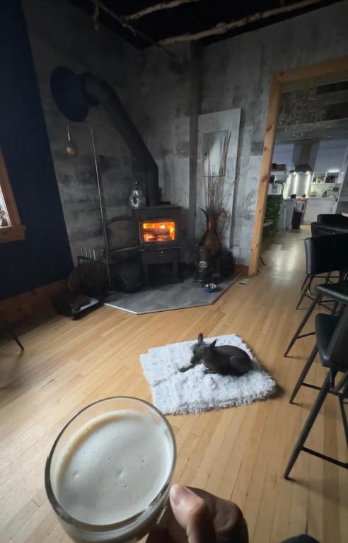 a cat laying on a rug in a room with a fireplace at AUBERGE et BISTRO NAMASTÉ in Lachute