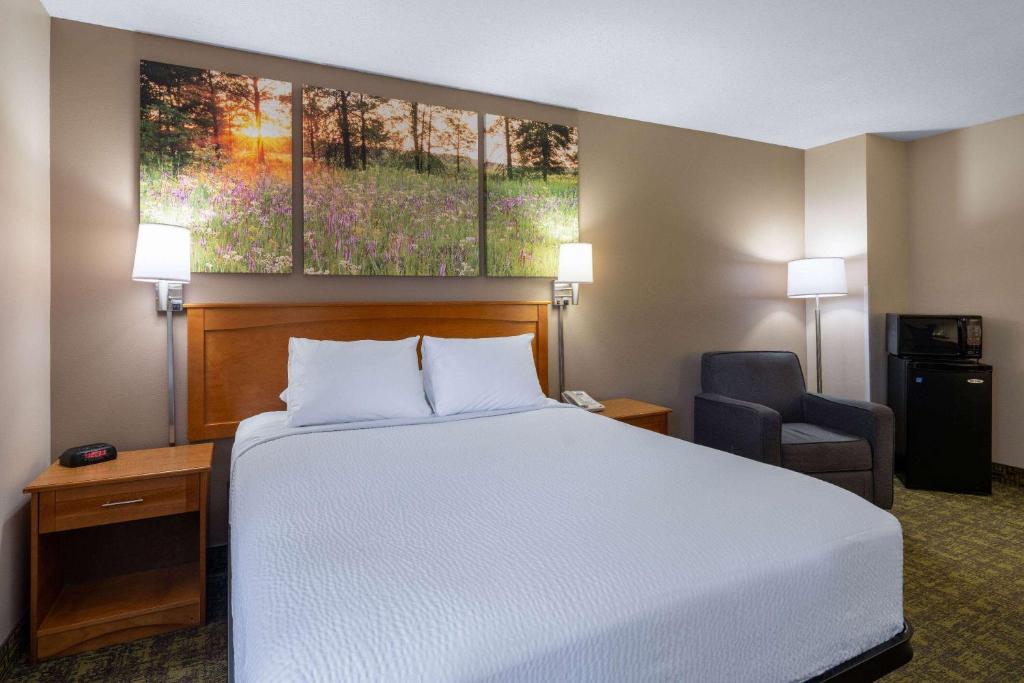 Days Inn & Suites by Wyndham Madison - Queen Room - Niet -roken
