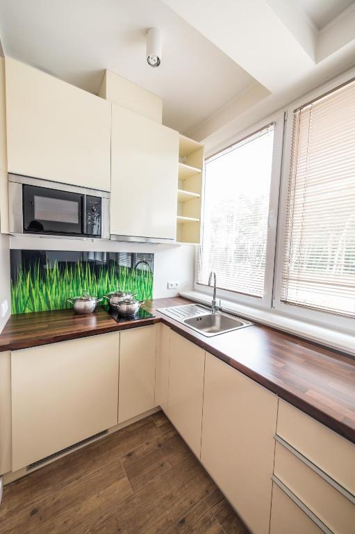 Kuchyň nebo kuchyňský kout v ubytování Silver One Apartments
