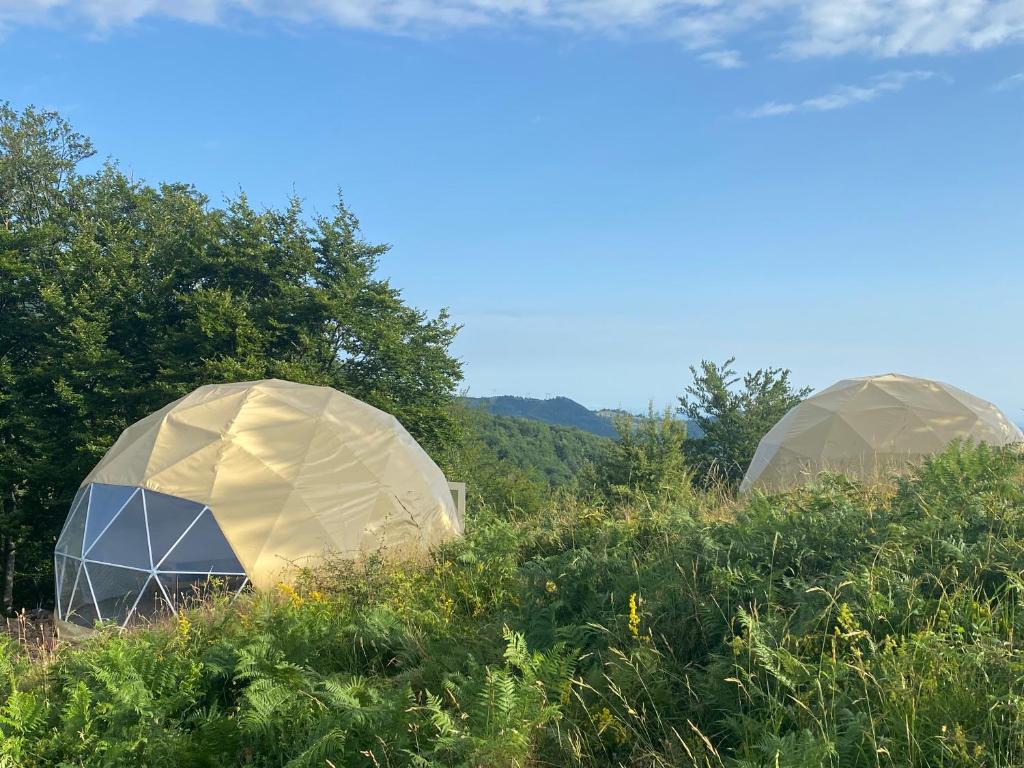 two dome tents in a field of grass at Dome Home Tents Taor in Valjevo