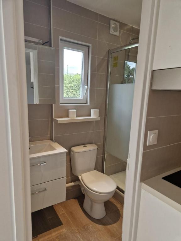 a bathroom with a toilet and a sink and a window at Spacieux et lumineux Appartement in Aulnay-sous-Bois
