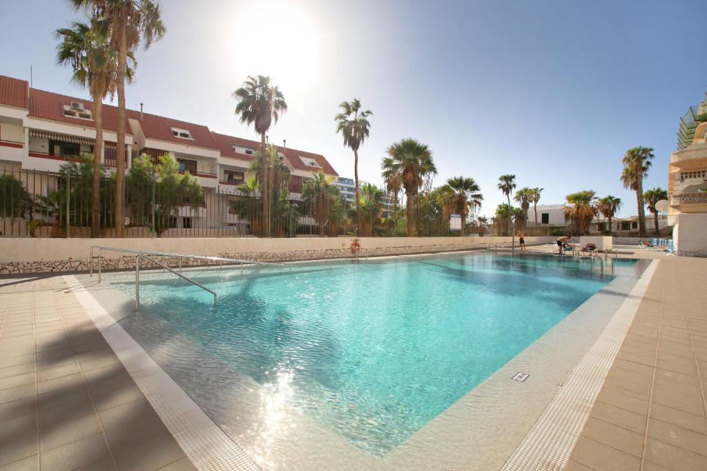 a large swimming pool with palm trees and a building at Apartment at 30 mts from sea in Playa de las Americas
