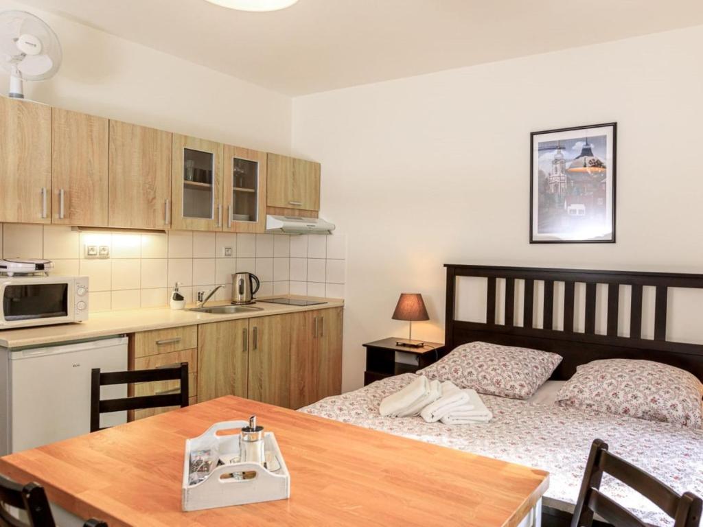 Apartment Arnoltice 2 by Interhome tesisinde mutfak veya mini mutfak