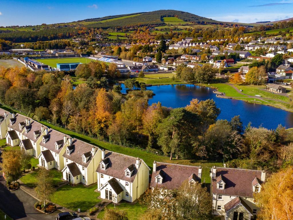 an aerial view of a village with a lake and houses at Riverside Holiday Homes in Aughrim