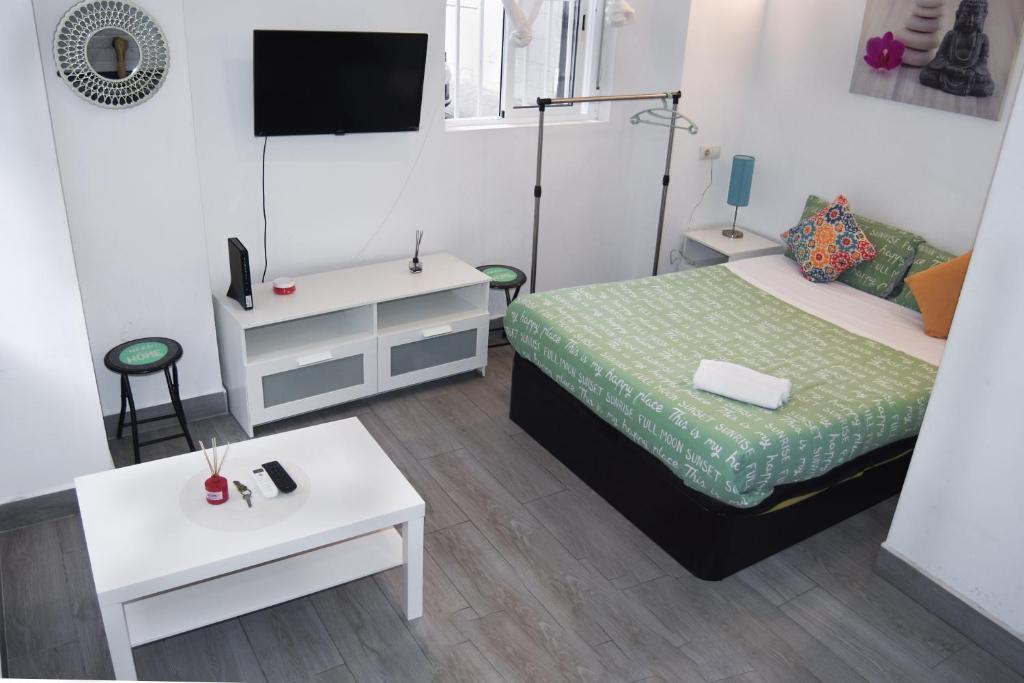 a small bedroom with a bed and a tv at LOFTS ARENAL in Madrid