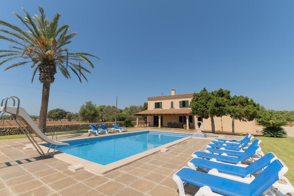 een zwembad met ligstoelen en een palmboom bij Finca Sivina Sanau in Cala Ferrera