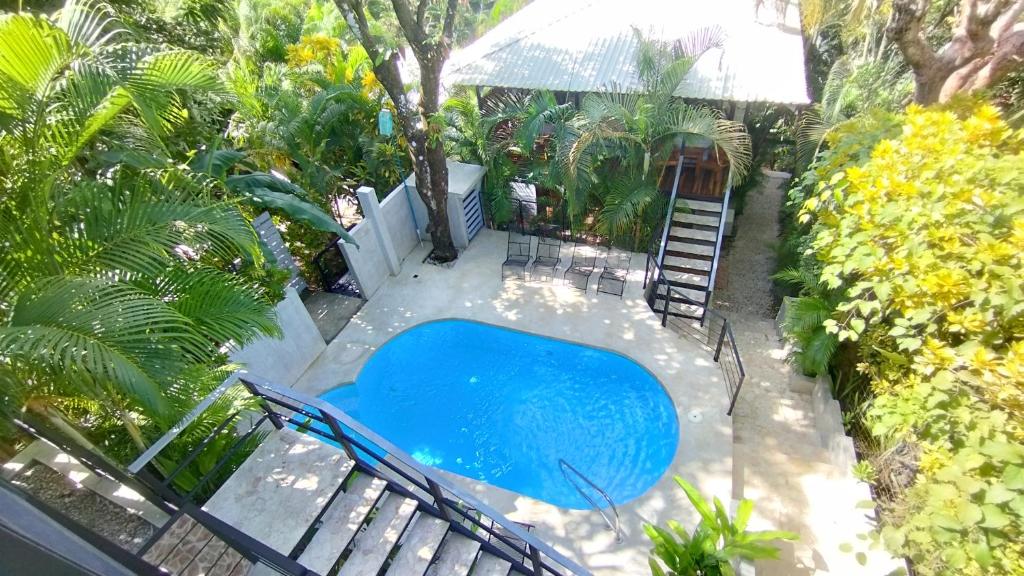 an overhead view of a swimming pool in a garden at Hotel Raratonga in Santa Teresa Beach
