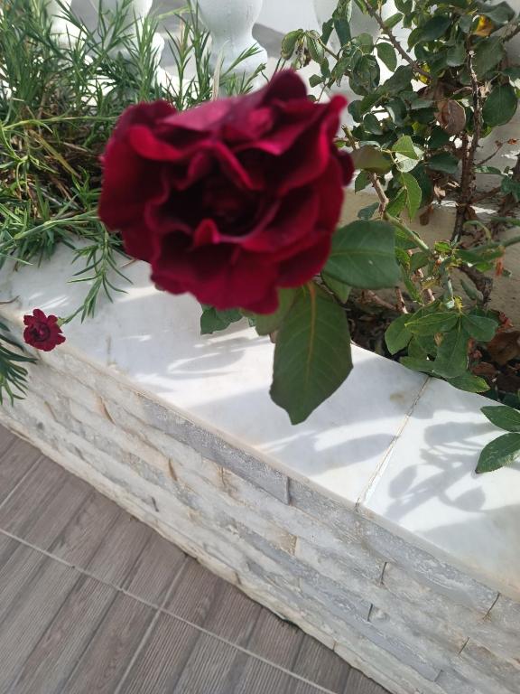 Imagem da galeria de Phoenix em Fira