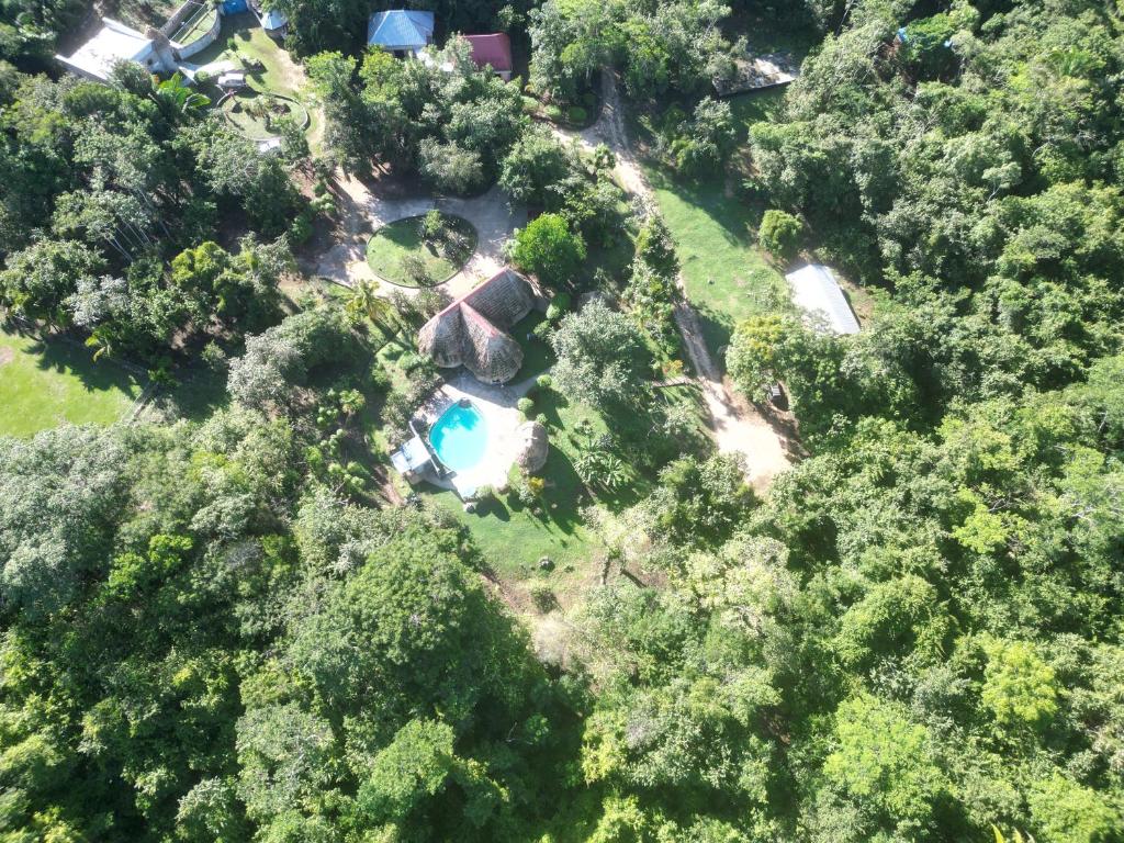 an aerial view of a house with a pool in the forest at Calico Jack's Resort in Sayab Camp