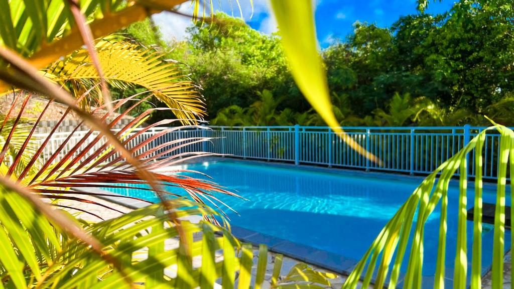 uma piscina azul com uma palmeira em Magnifique Appartement Fleurs Caraïbes - 6 personnes en résidence avec piscine privée - Sainte Anne em Sainte-Anne
