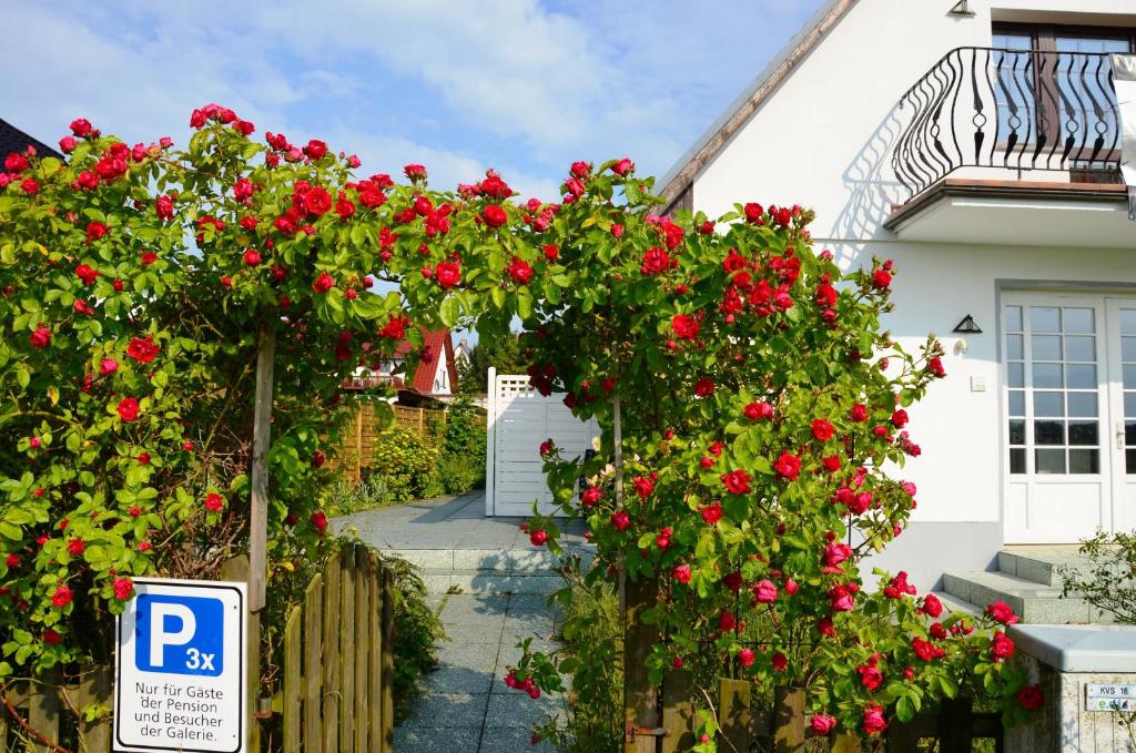 ティースゾーにあるStrandapartment-Mondfisch an der Ostseeの家の前の赤いバラで満たされたパーゴラ